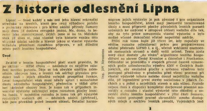 odlesneni-lipna.jpg