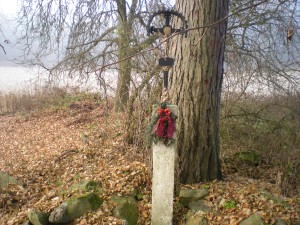 dscn7278.jpg