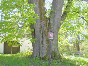 dscn5670.jpg