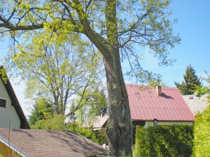 dscn5678.jpg